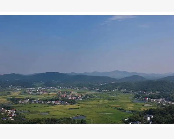 会计转行新赛道职业选择全探索