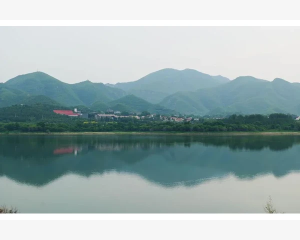 先补脾胃还是肝脏好？关键在于这对黄金搭档的平衡