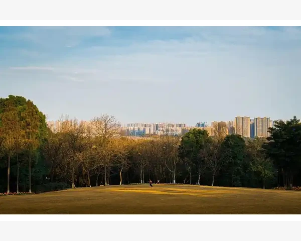 受凉咳嗽驱寒：中医角度解析及应对方法
