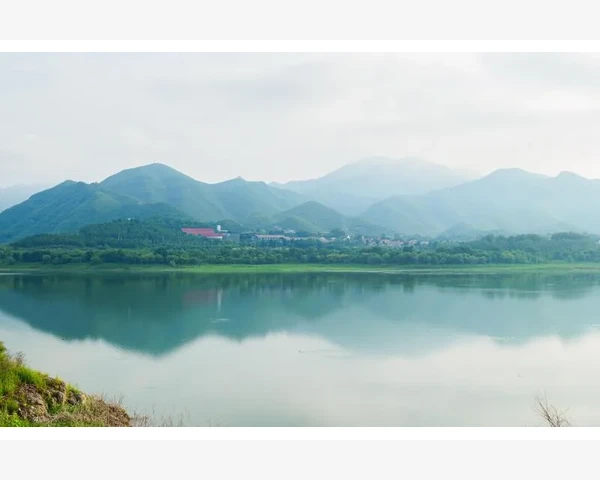 小孩热敷后背：解析中医视角下的化痰功效